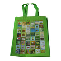 北碚LB11覆膜无纺布广告袋